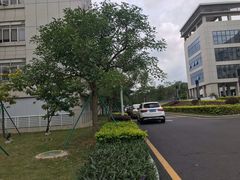 -深圳大学总医院