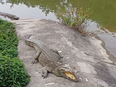 -广州长隆飞鸟乐园