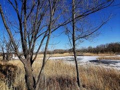 -野鸭湖国家湿地公园
