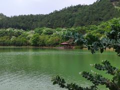 -广州白江湖森林公园