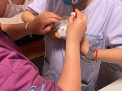 -瑞派·关忠动物医院·异宠专科·犬猫肿瘤·皮肤专科(望京店)