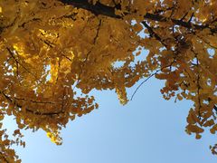 -日本风情街