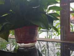-大胡同天津菜·海肠捞饭·津门皮皮虾锅贴一绝(西姜井店)