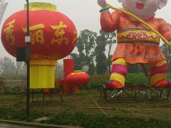 -秀丽东方