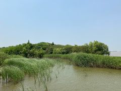 -上海吴淞炮台湾国家湿地公园