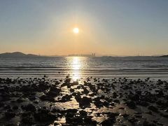 -养马岛旅游度假区