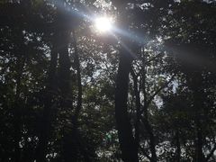 -东钱湖旅游度假区