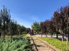 -永定河休闲森林公园