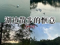 -珠海圆明新园