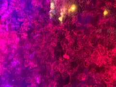 -太平洋海底世界博览馆·展览厅