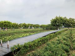 -广东花都香草世界旅游度假区