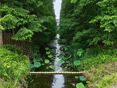-东平国家森林公园