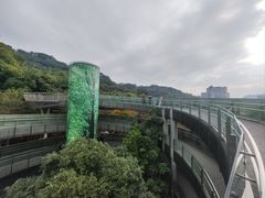 -福道