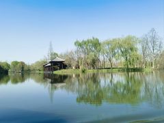 -溱湖国家湿地公园