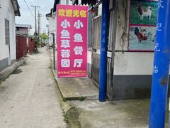 -小鱼草莓采摘园农家乐·小鱼餐厅