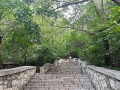 -千佛山风景名胜区
