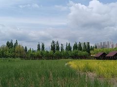 -永定河休闲森林公园