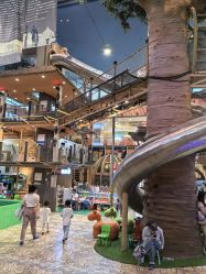 -卡通尼·Safari非洲探索乐园·生日会(金桥国际商业广场店)