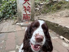 -老号尤兔头(幸福店)