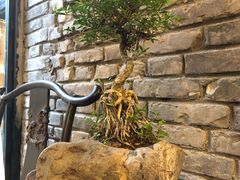 -鱼桥巷·美学川菜