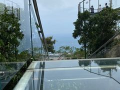 -亚龙湾热带天堂森林公园