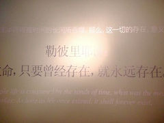 android_upload_pic-上海琉璃艺术博物馆