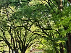 -杭州半山国家森林公园