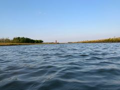 -春花秋色城市公园