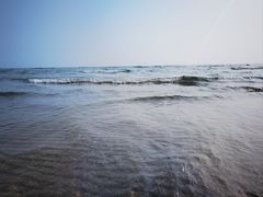 -贝壳沙滩