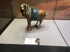 -北京周口店北京人遗址博物馆