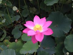 -北京丽景湾国际酒店