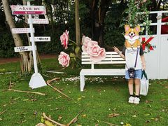 -人民公园(罗湖区)