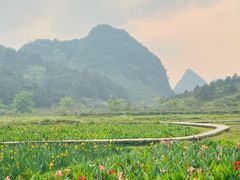 -靖西鹅泉风景区