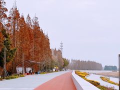 -瀛洲公园