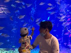 -成都浩海立方海洋公园