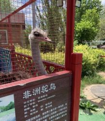 -萌宠亲子动物乐园(槐房万达店)