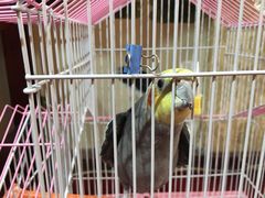 -御筋堂正骨推拿(星源国际店)