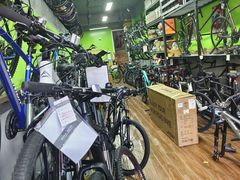 -道路口单车爱瓦士dahon大行