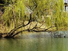 -白塘生态植物园