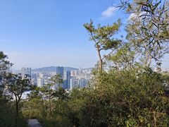 -五缘湾湿地公园
