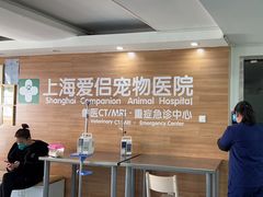 -爱侣宠医·鹦鹉专科·小型哺乳类·异宠专科(灵石路店)