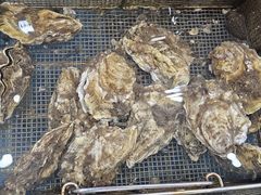 -抹直口特色菜馆(一店)