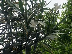 -圩墩遗址公园