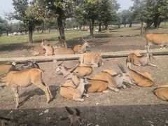 -西安秦岭野生动物园