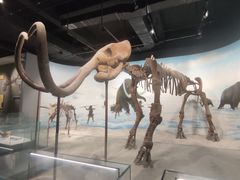 -辽宁古生物博物馆
