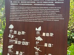 -华侨城湿地公园