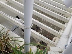 -濑长岛