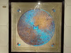 -上海昆虫博物馆