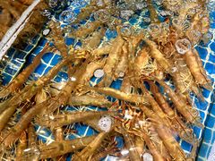 -三亚火车头万人海鲜广场