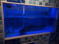 水产区-大河宴椒麻鱼(嘉和园店)